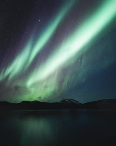 Eeva Mäkinen SIDD assets for Nikon's The Human Prompt