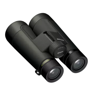 nikon-image