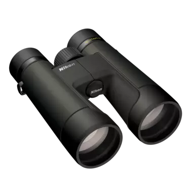 nikon-image