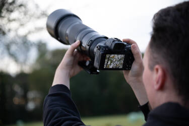 Nikon magazine - beginner bird photography with the Z5II and Samuel Houcken