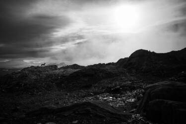 Nikon magazine - Jan Vincent Kleine