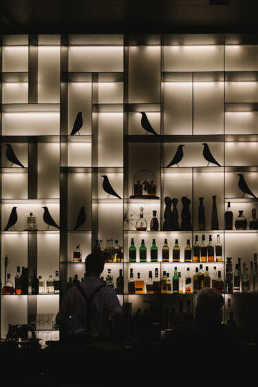 Nikon magazine - opulent interiors