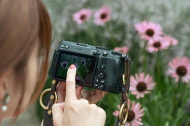 nikon-image
