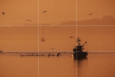 Nikon magazine - rule of thirds